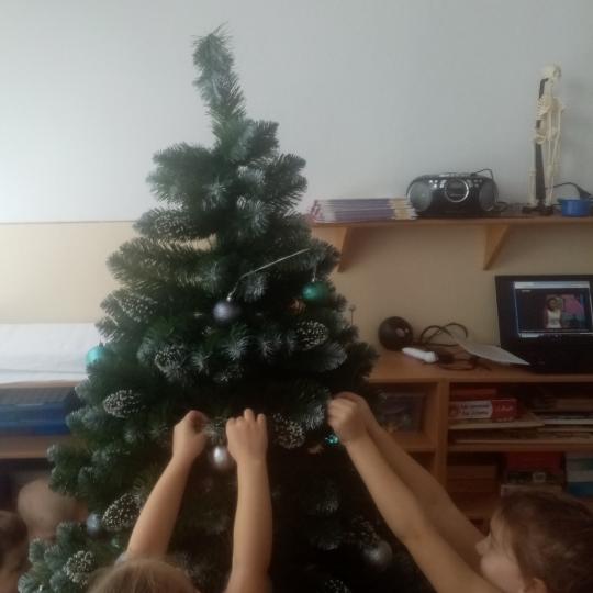 Vianočný stromček 20